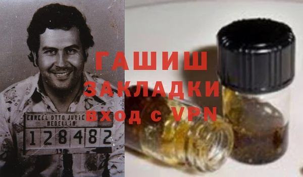 гашик Няндома