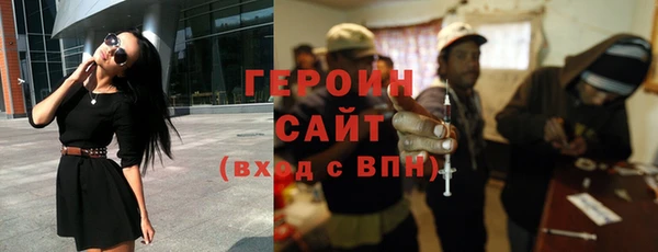гашик Няндома