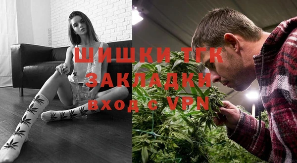 гашик Няндома