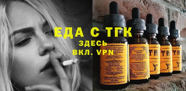 гашик Няндома