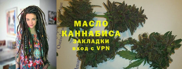 гашик Няндома