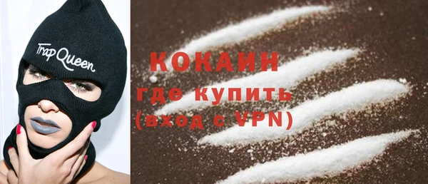 гашик Няндома