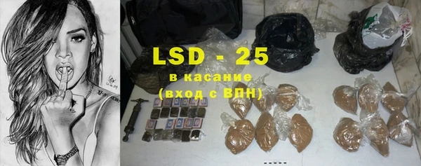гашик Няндома