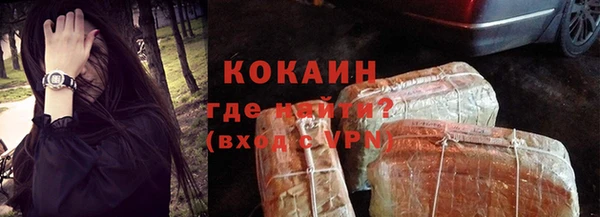 гашик Няндома