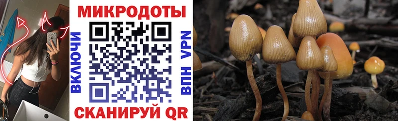 Галлюциногенные грибы ЛСД  Бодайбо 